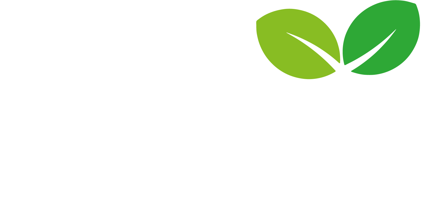 Hekhani Seeds